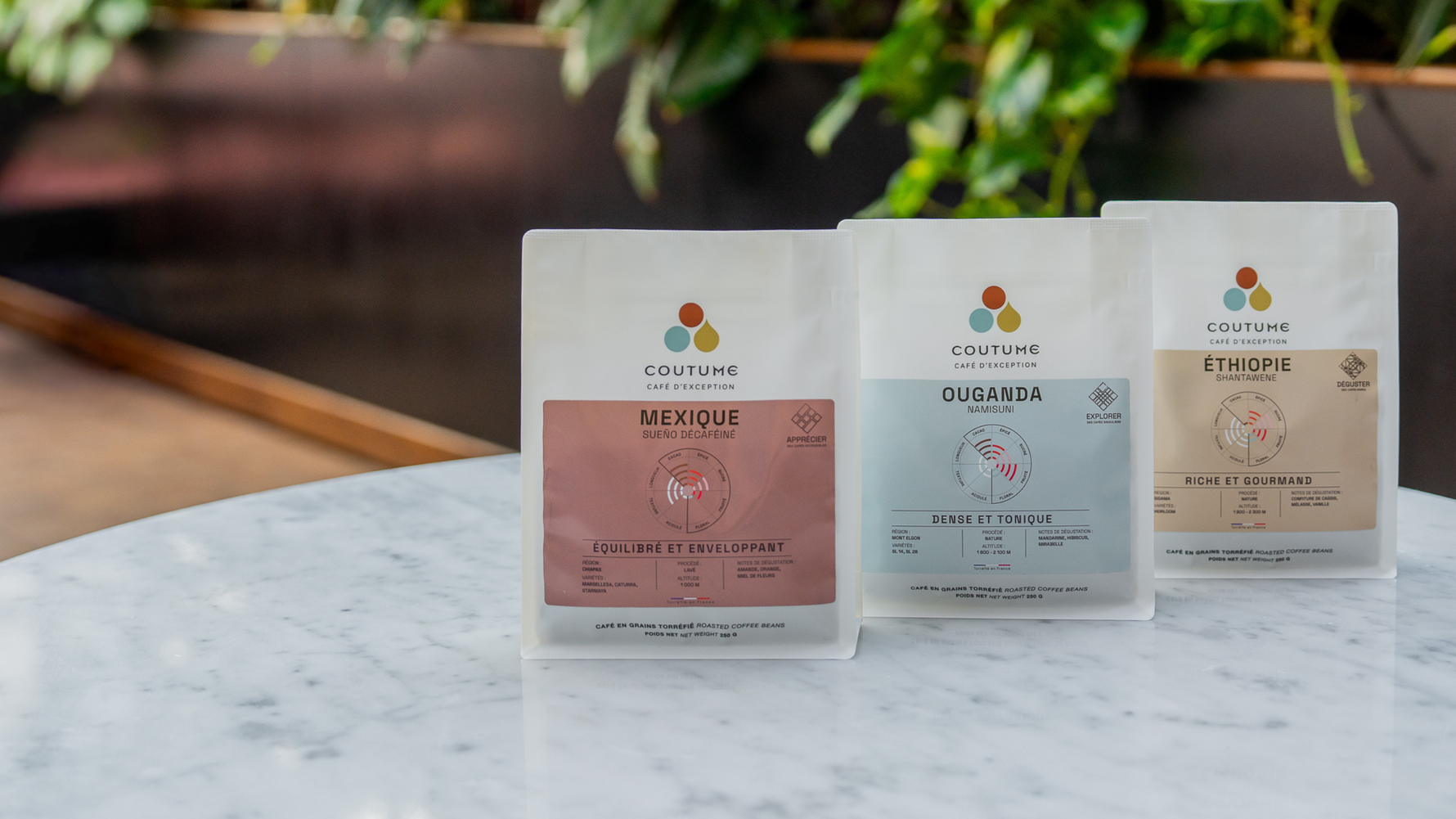 Nos cafés de spécialité : trouvez le café qui vous correspond