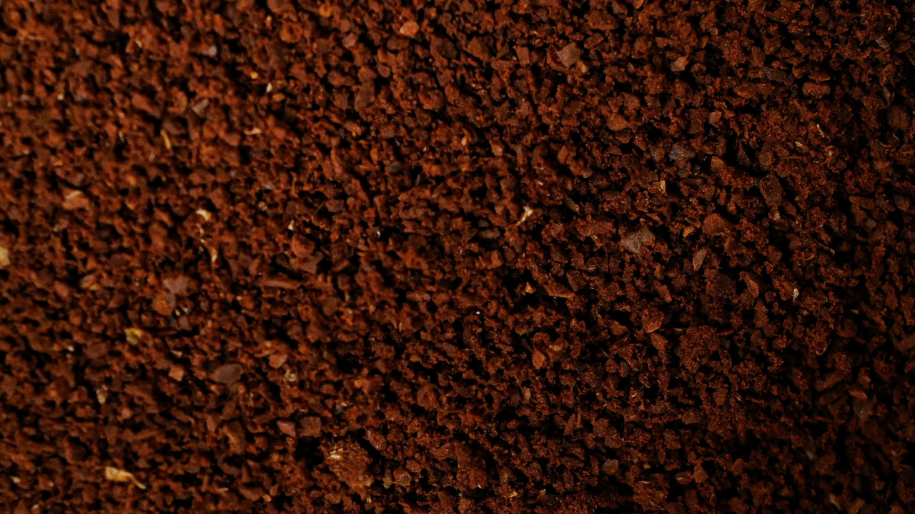 Qu’est-ce que le café décaféiné ? Méthodes, goût et différences