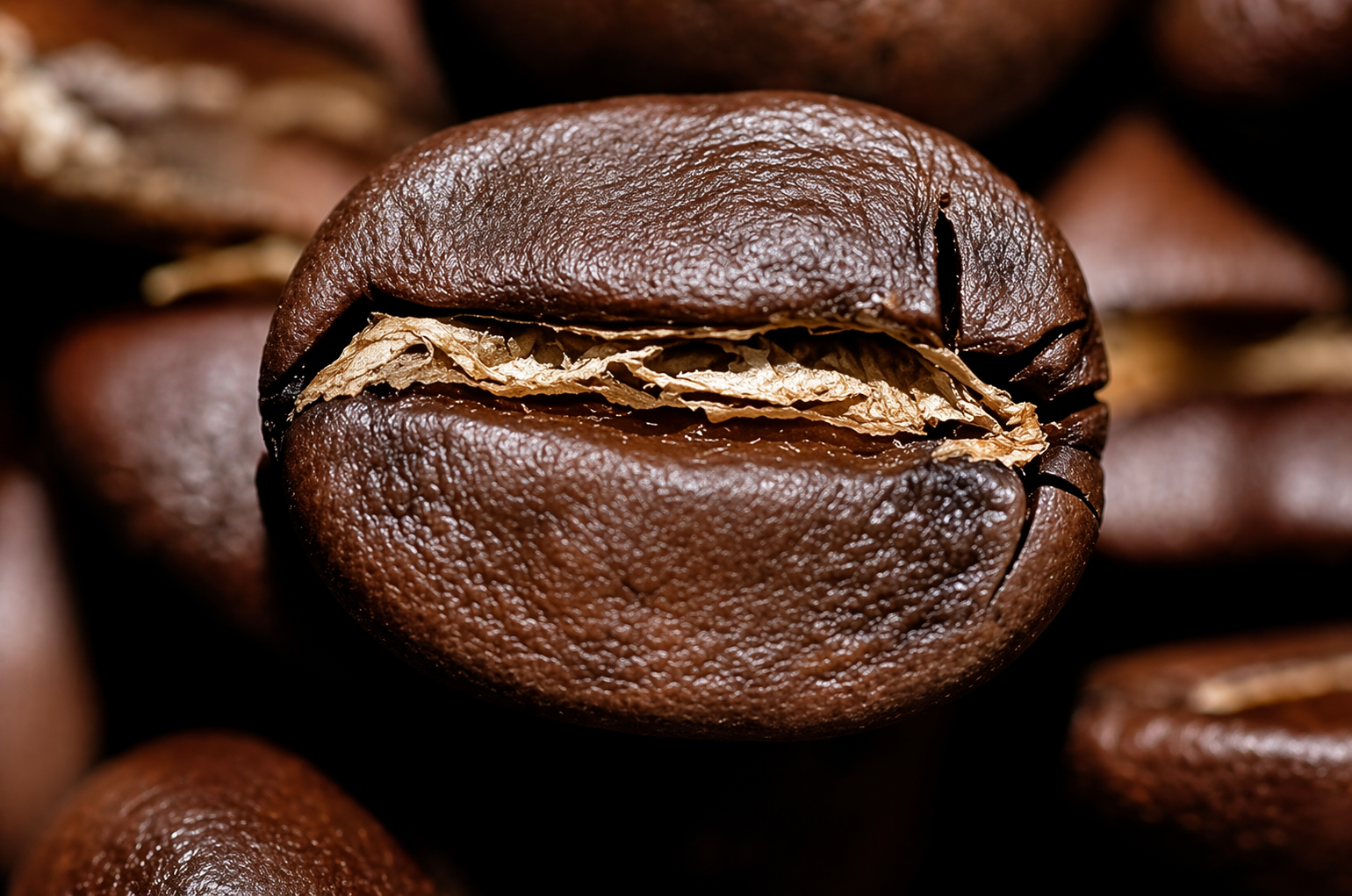 Fraîcheur du café : récolte, torréfaction, dégazage — tout comprendre