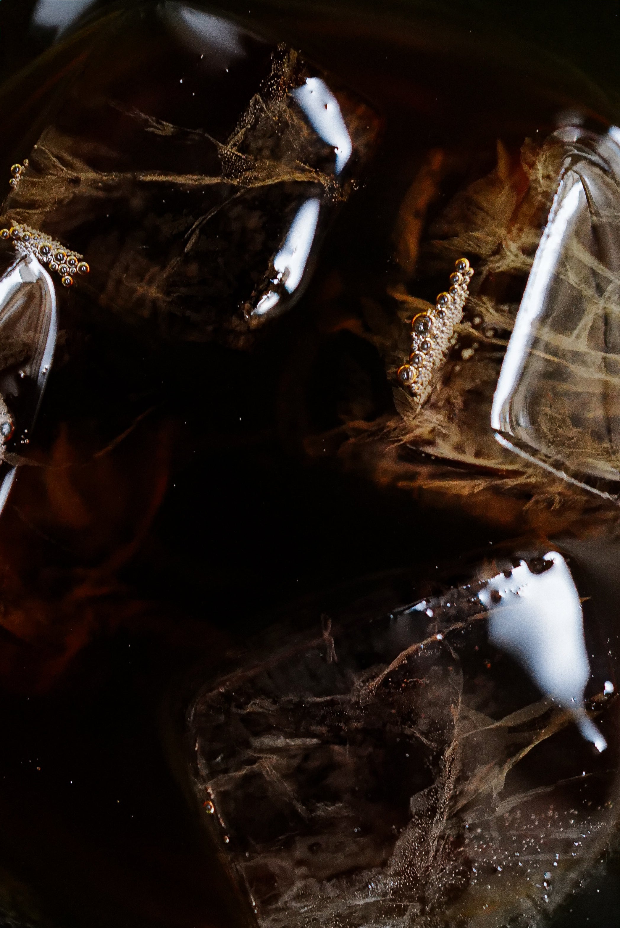 Cold Brew