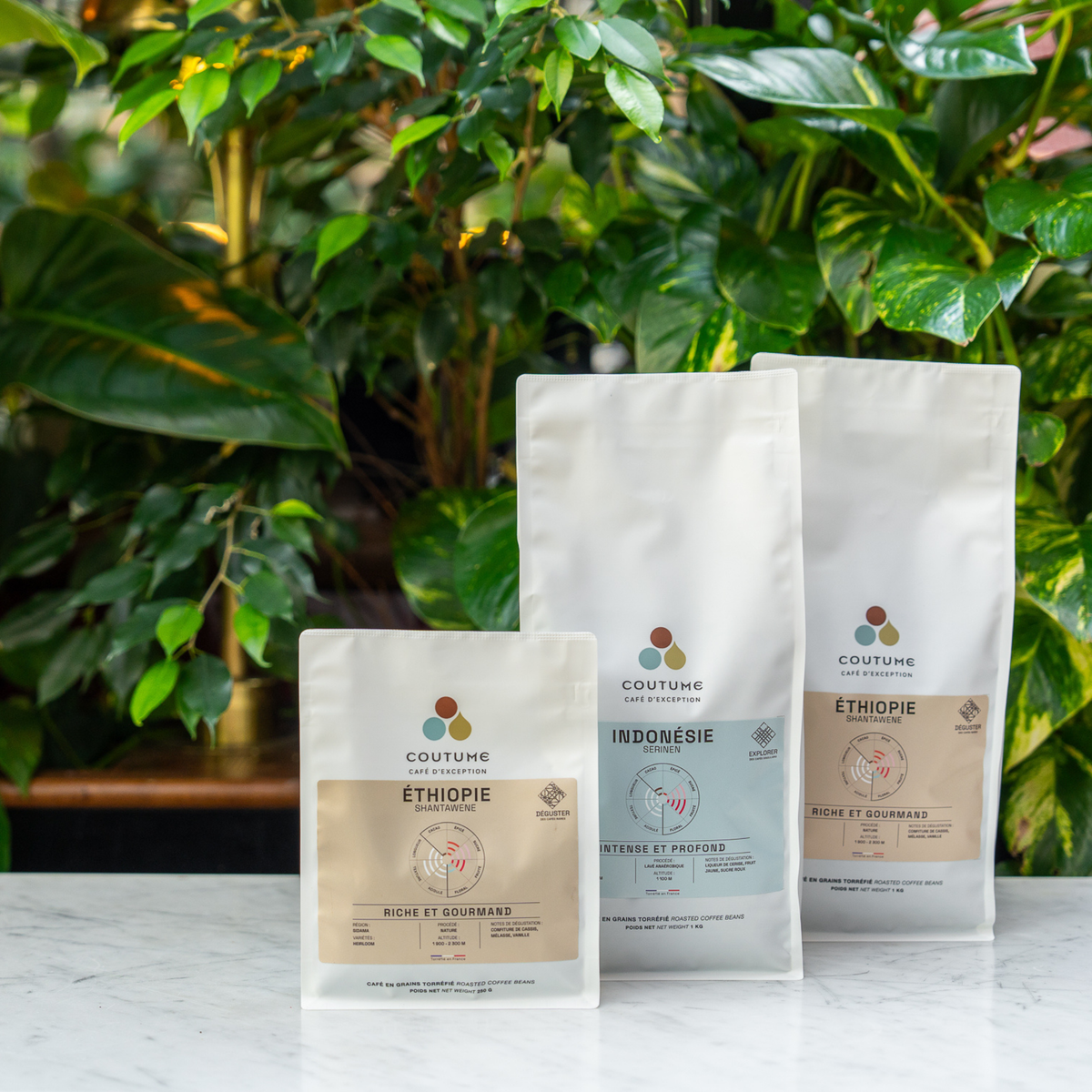 Trois sachets de café de spécialité Coutume Café pour l’abonnement Coffee Geek