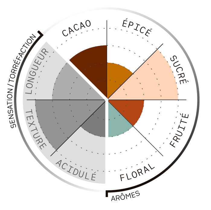 Roue des notes de dégustation du produit Café Patzibir